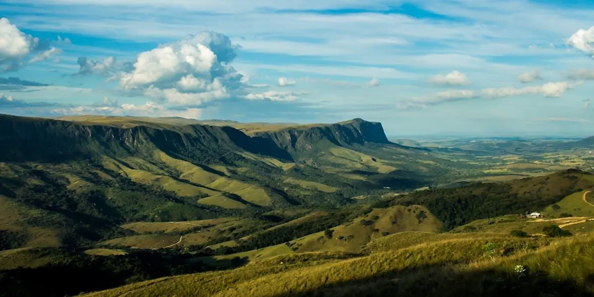 otimização de campanhas de tráfego pago