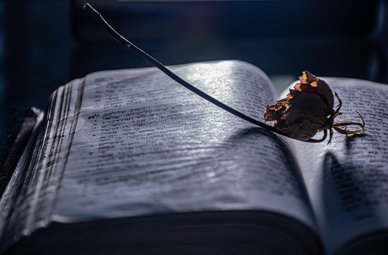 Página de vendas otimizada simbolizada por livro vintage aberto com marca páginas e flor seca em biblioteca