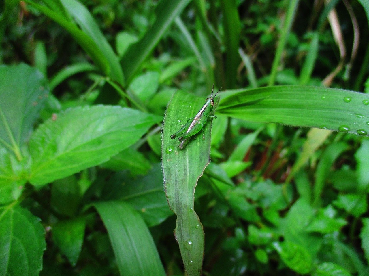 personalização de funil comercial em vendas digitais – Estudos de caso: aumentos reais com personalização de funil comer