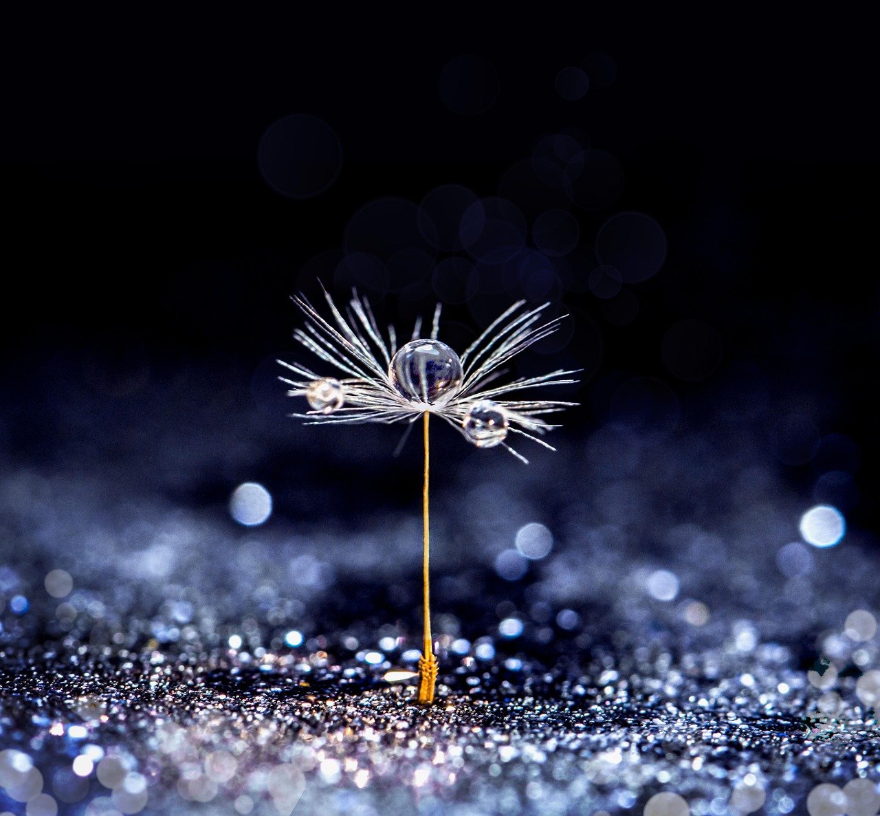 fundo de funil de vendas – Fundo de funil de vendas: campanhas de conversão e fechamento de vendas