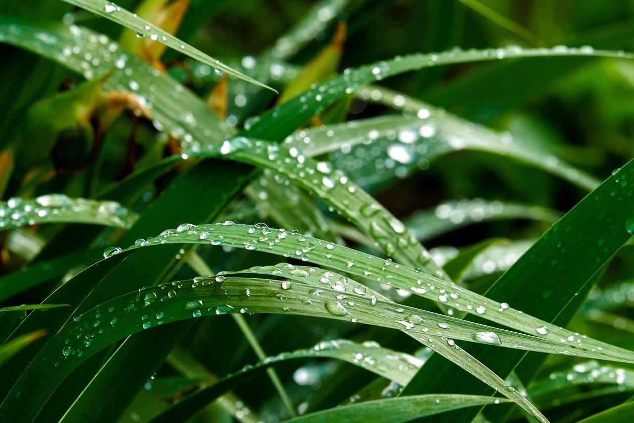 fatores que aumentam custo por clique – Fatores que mais aumentam o custo por clique e como identificá-los