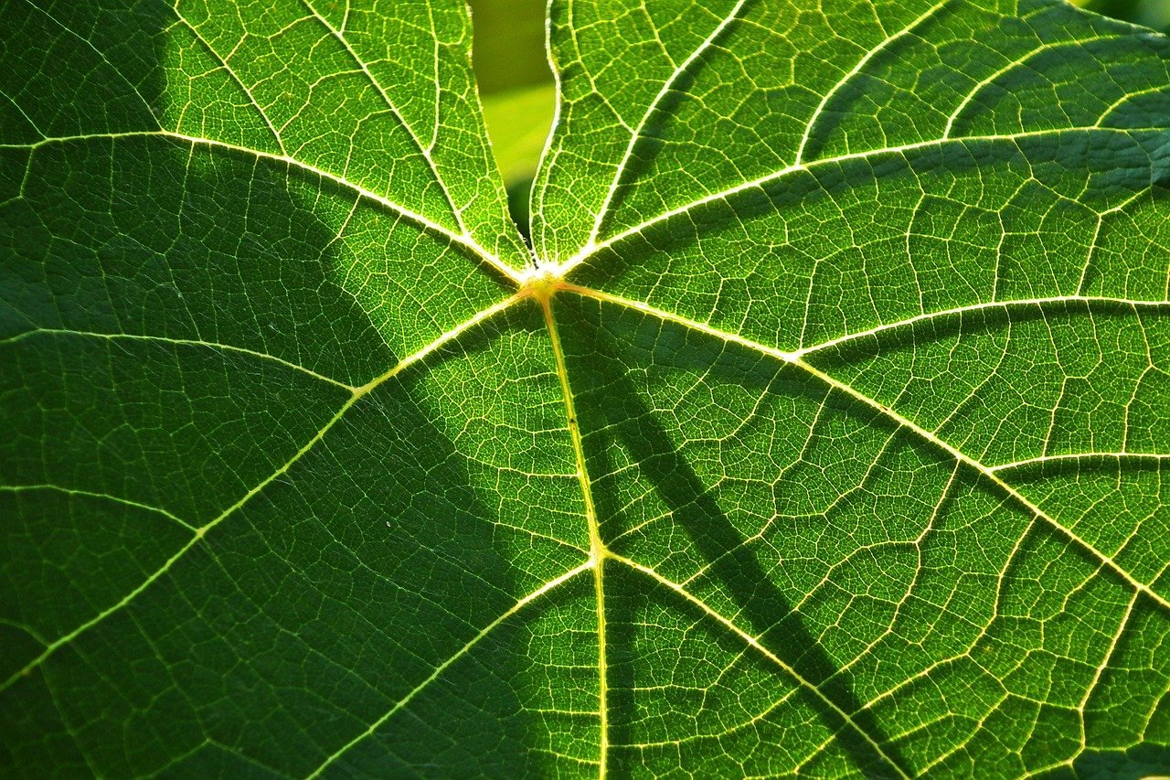 perguntas consultivas na negociação consultiva – Como conduzir perguntas consultivas que revelam dores, orçamento e prio