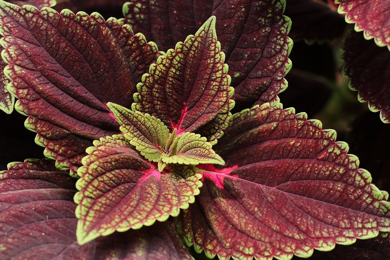 criativos para anúncios que param o scroll – Introdução aos criativos para anúncios e por que eles param o scroll