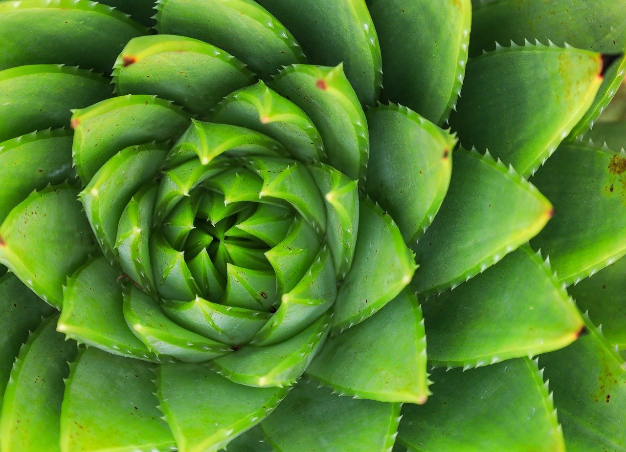 erros comuns em criativos para anúncios – Erros comuns em criativos para anúncios e como corrigi-los rapidamente