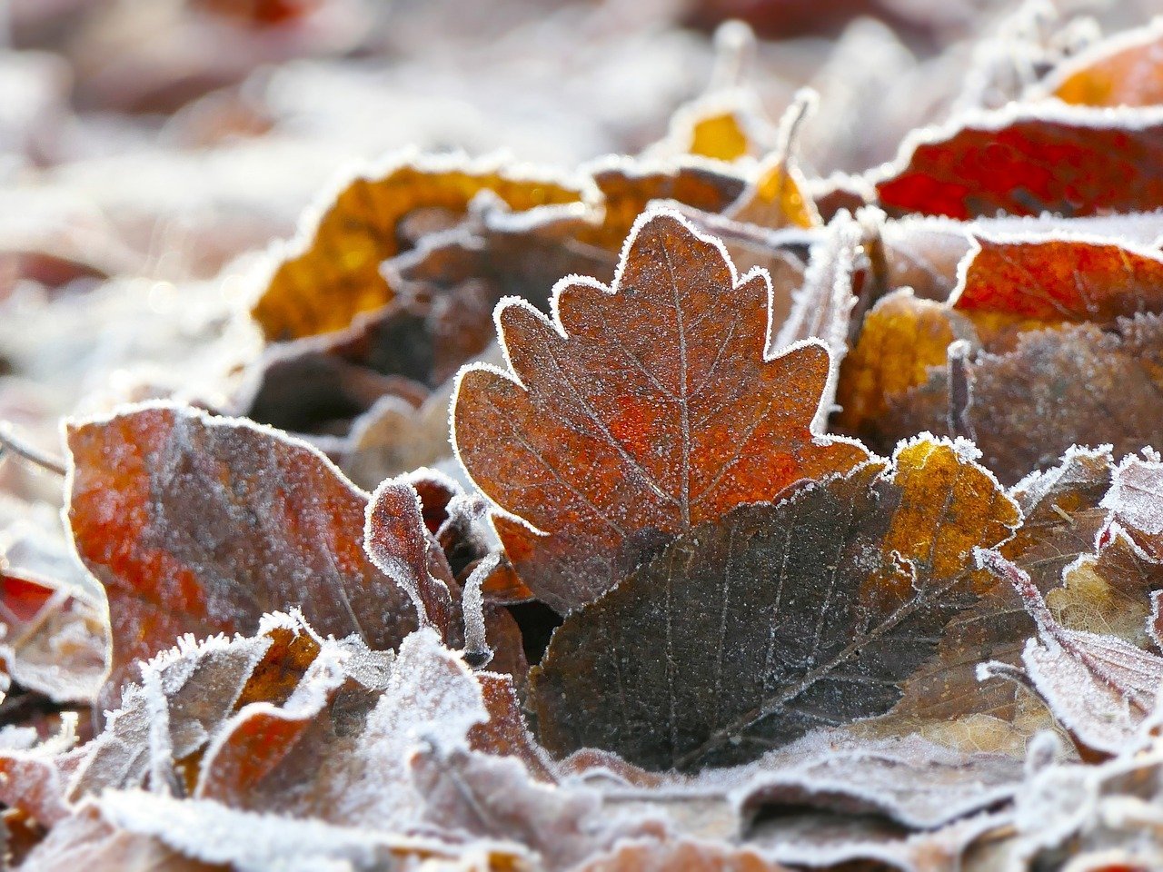 tipos de cliques inválidos em anúncios – Principais tipos de cliques inválidos e como diferenciá-los de cliques legítimo