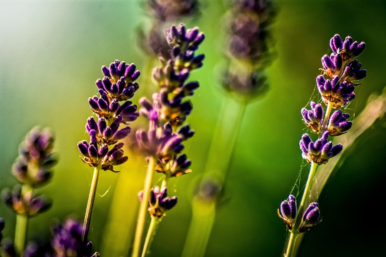 estratégias de segmentação em publicidade contextual – Estratégias de segmentação em publicidade contextual que aumentam