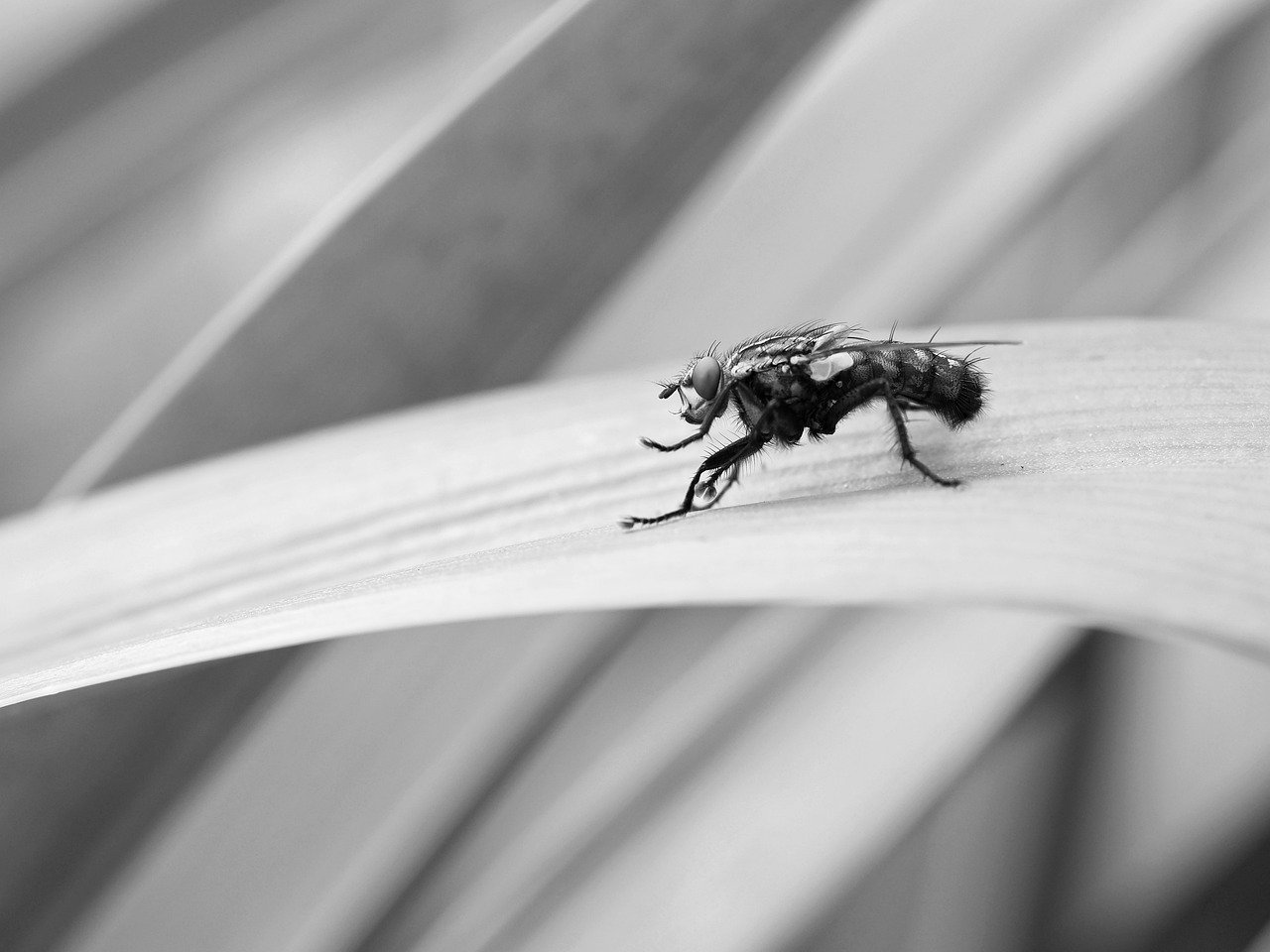 títulos que param a rolagem – Como criar títulos que param a rolagem usando copywriting para anúncios