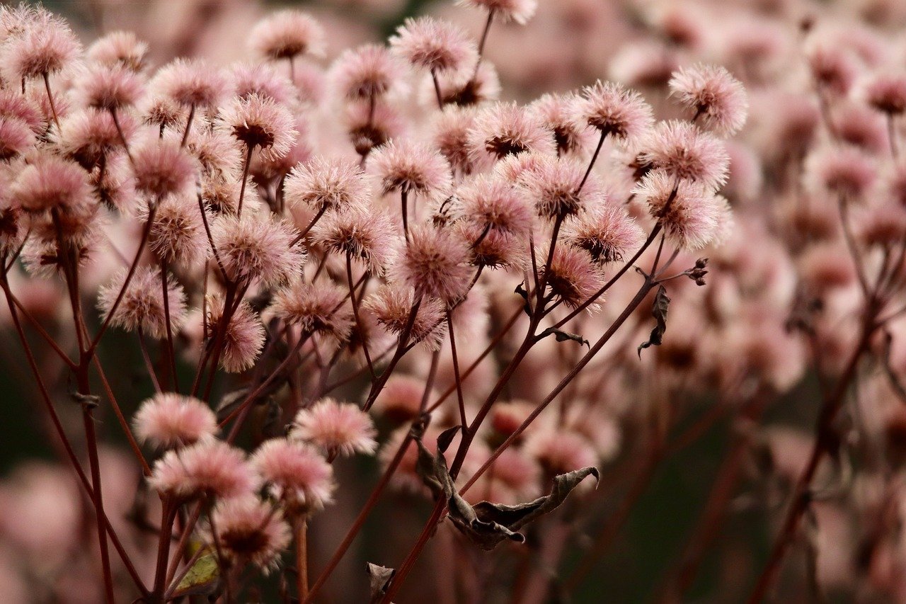 estratégias para melhorar reputação do vendedor – Estratégias práticas para melhorar rapidamente a reputação do vendedor