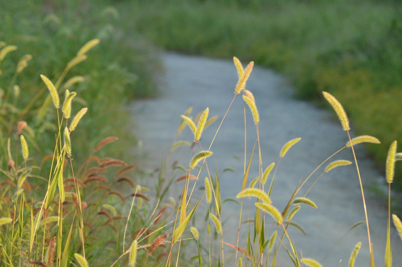 fluxos de nutrição na higiene de leads – Fluxos de nutrição e reciclagem de leads: mantendo a base saudável ao longo do