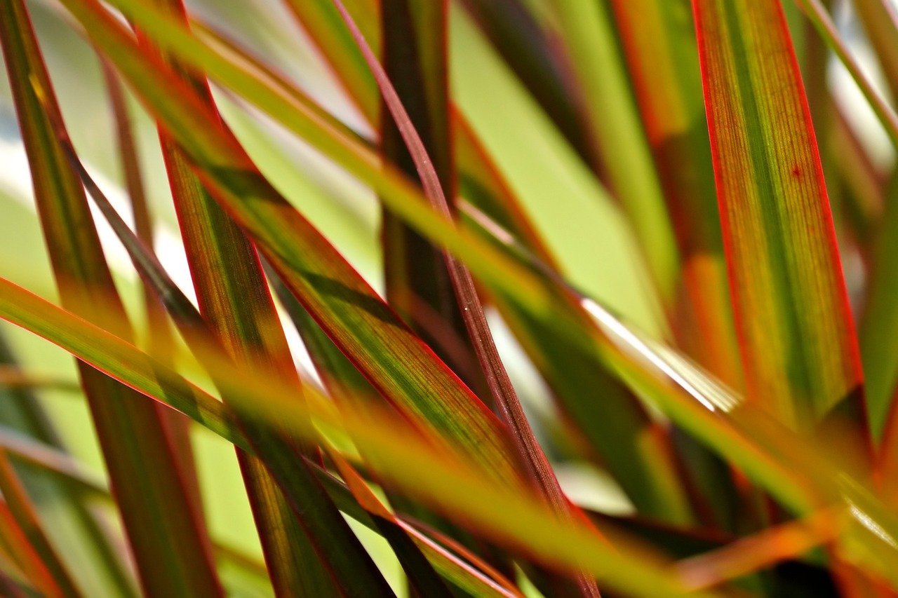 remarketing dinâmico em e-commerce – Como funciona o remarketing dinâmico por trás dos anúncios personalizados