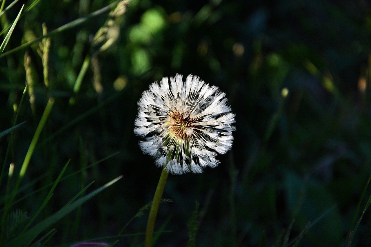 taxa de abertura após mudanças de privacidade – Como medir corretamente a taxa de abertura após as mudanças de privacida